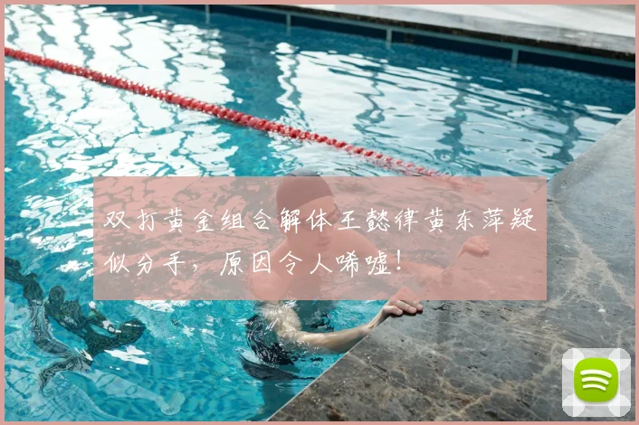 双打黄金组合解体王懿律黄东萍疑似分手，原因令人唏嘘！